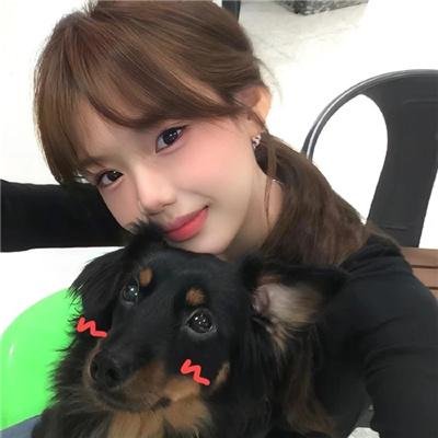 八犬传:东方八犬异闻